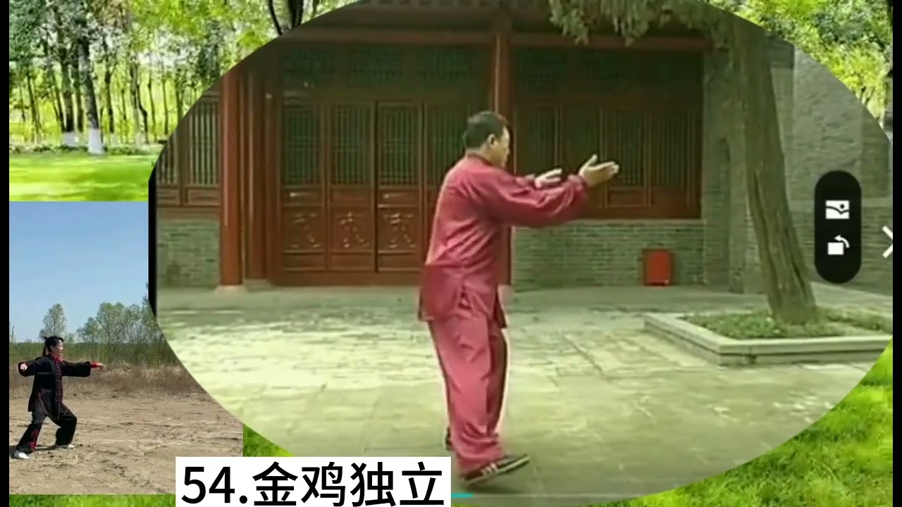您知道吗？金鸡独立有个重要特点！听张东武老师慢慢道来。#太極 #養生