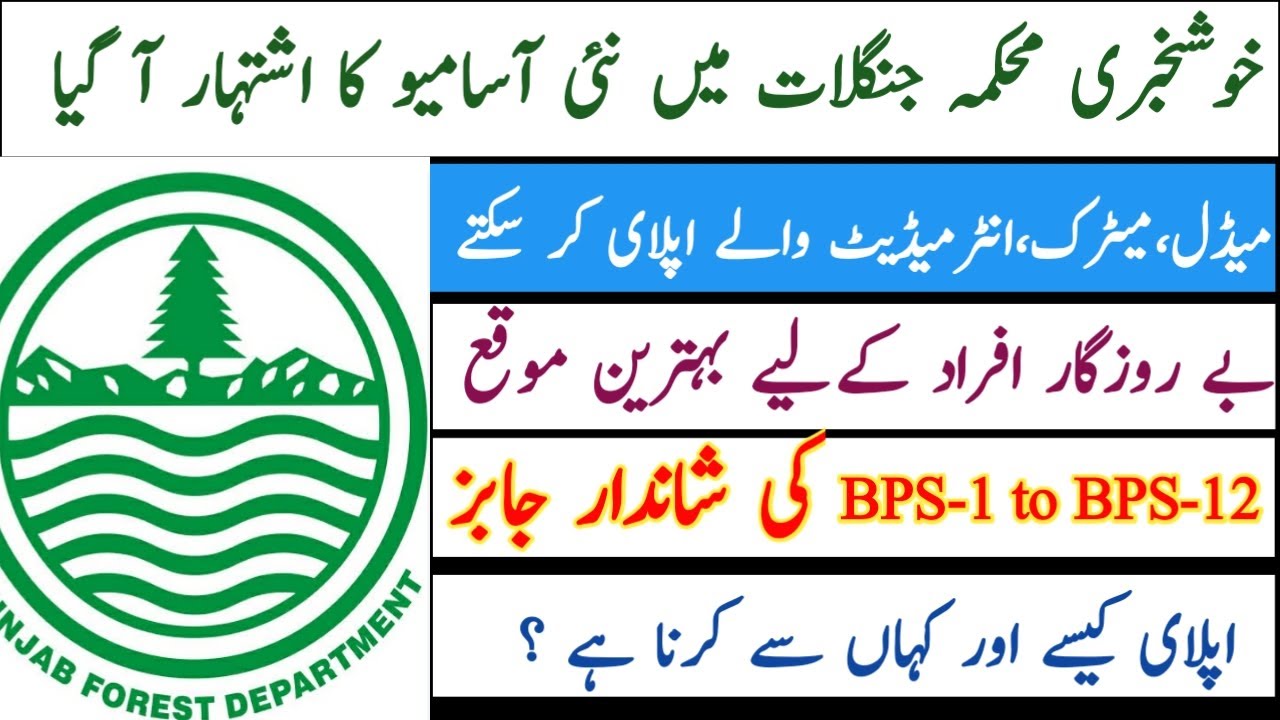 Forest Department Jobs 2024 | New Jobs in Forest Department
