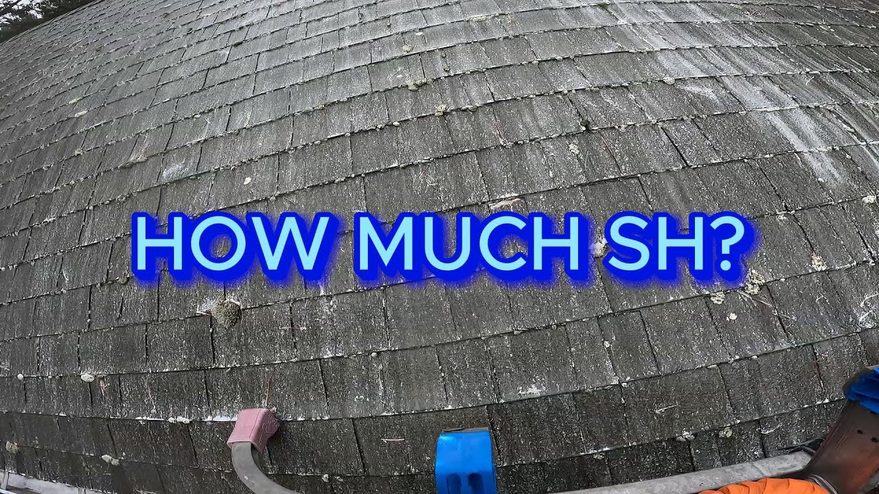 How Much Bleach Did I Use On This Roof? Soft Wash Roof Cleaning