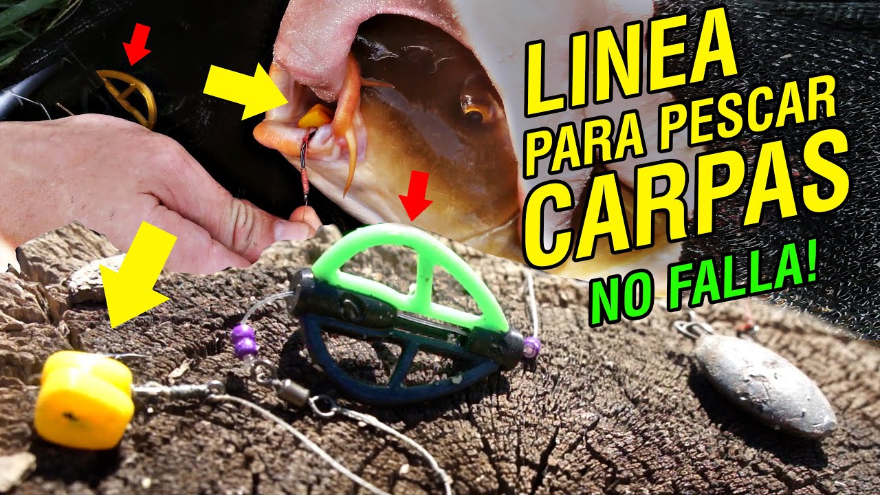 ¿Cómo armar LINEA INFALIBLE Y EFECTIVA para pescar carpas Grandes?