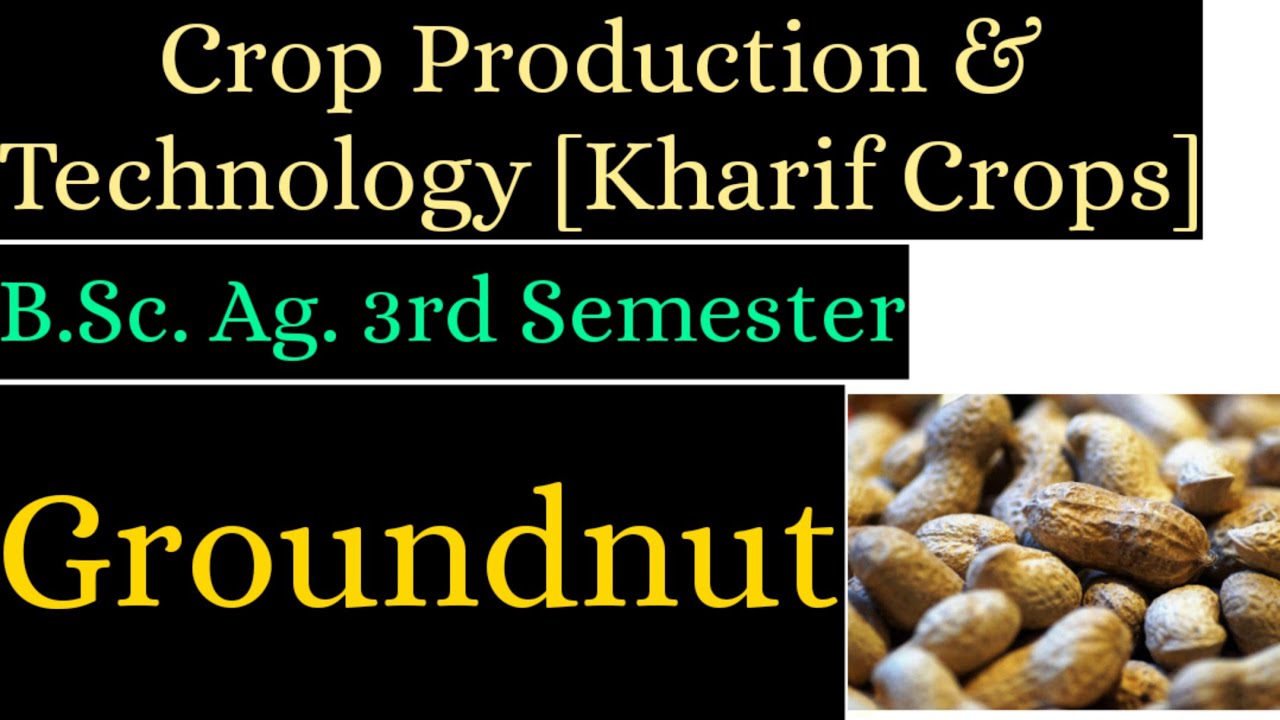 Groundnut || Cultivation of Groundnut || Groundnut Handwritten Notes
