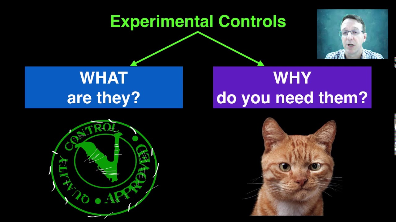 Controlled Variables and Experimental Controls