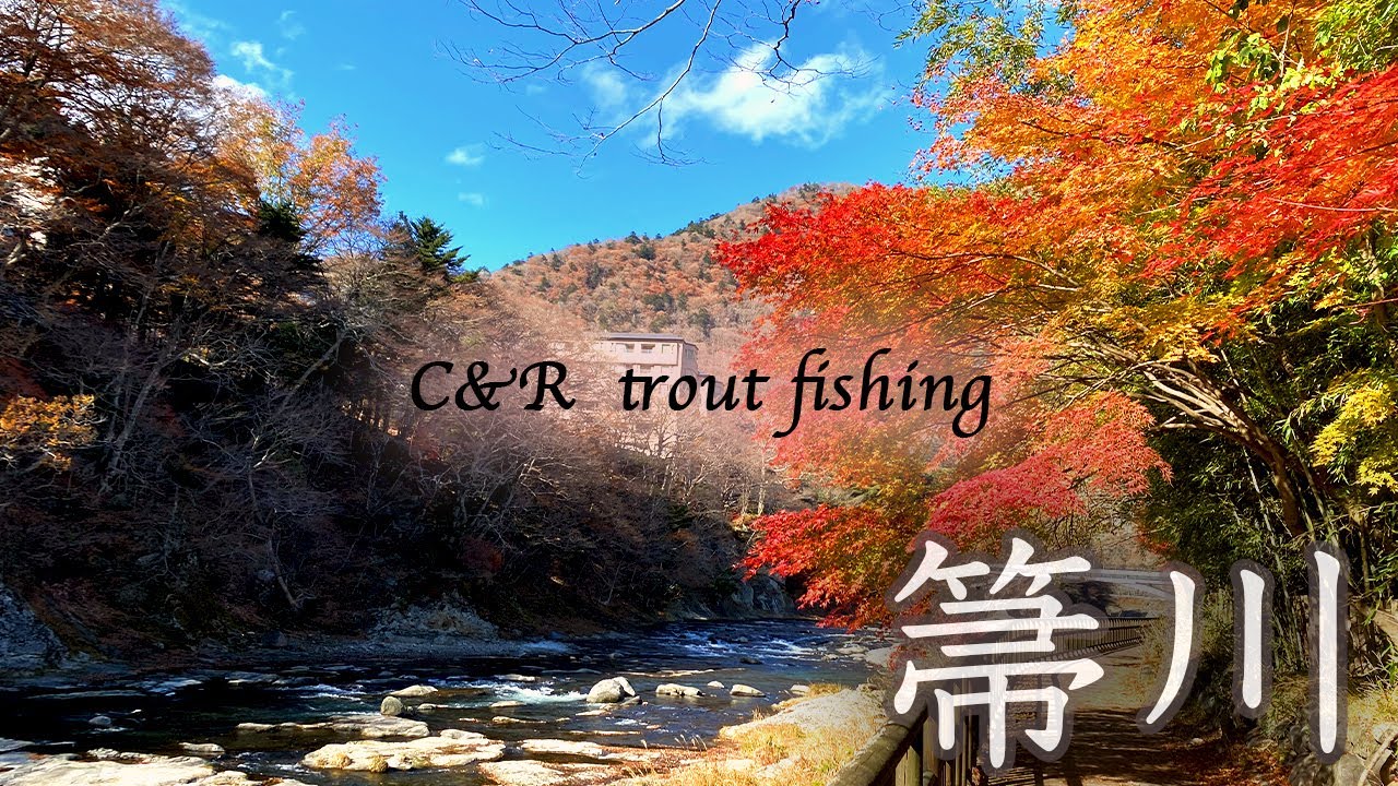 【釣り車中泊】2025年11月下旬　栃木県塩原温泉郷 箒川C&R釣行　＃箒川　＃C＆R　＃冬季釣り場　＃栃木県　＃那須塩原　＃trout fishing