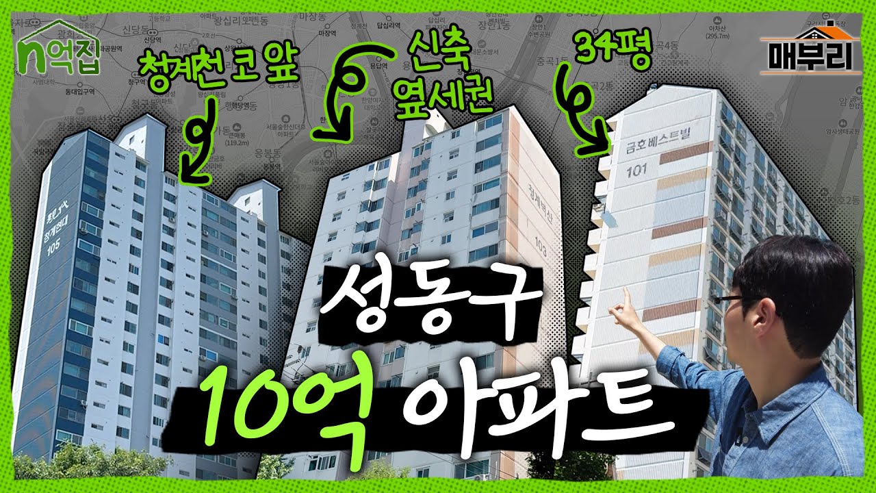 성동구 10억 아파트 둘러보며 임장 | n억집