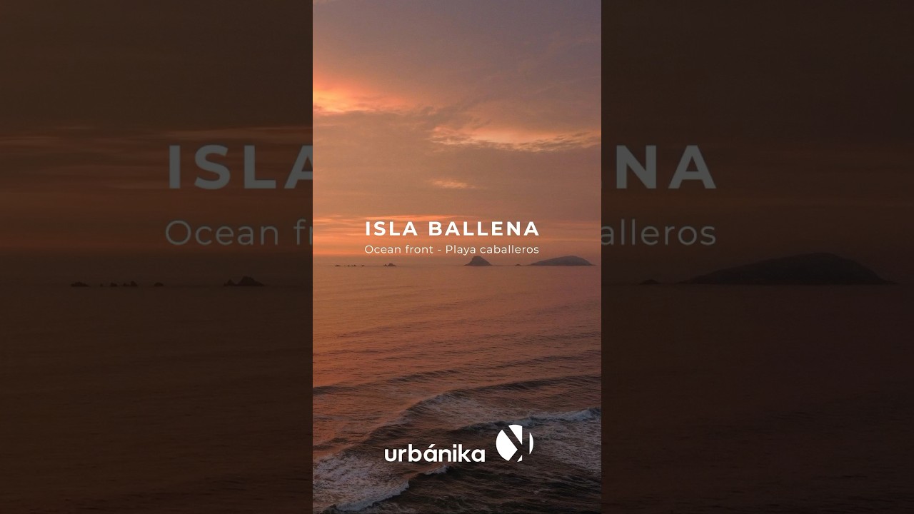 Isla Ballena 🐳🌊 #casadeplaya #playa #puntahermosa #surf #arquitectura #casaplaya #playacaballeros