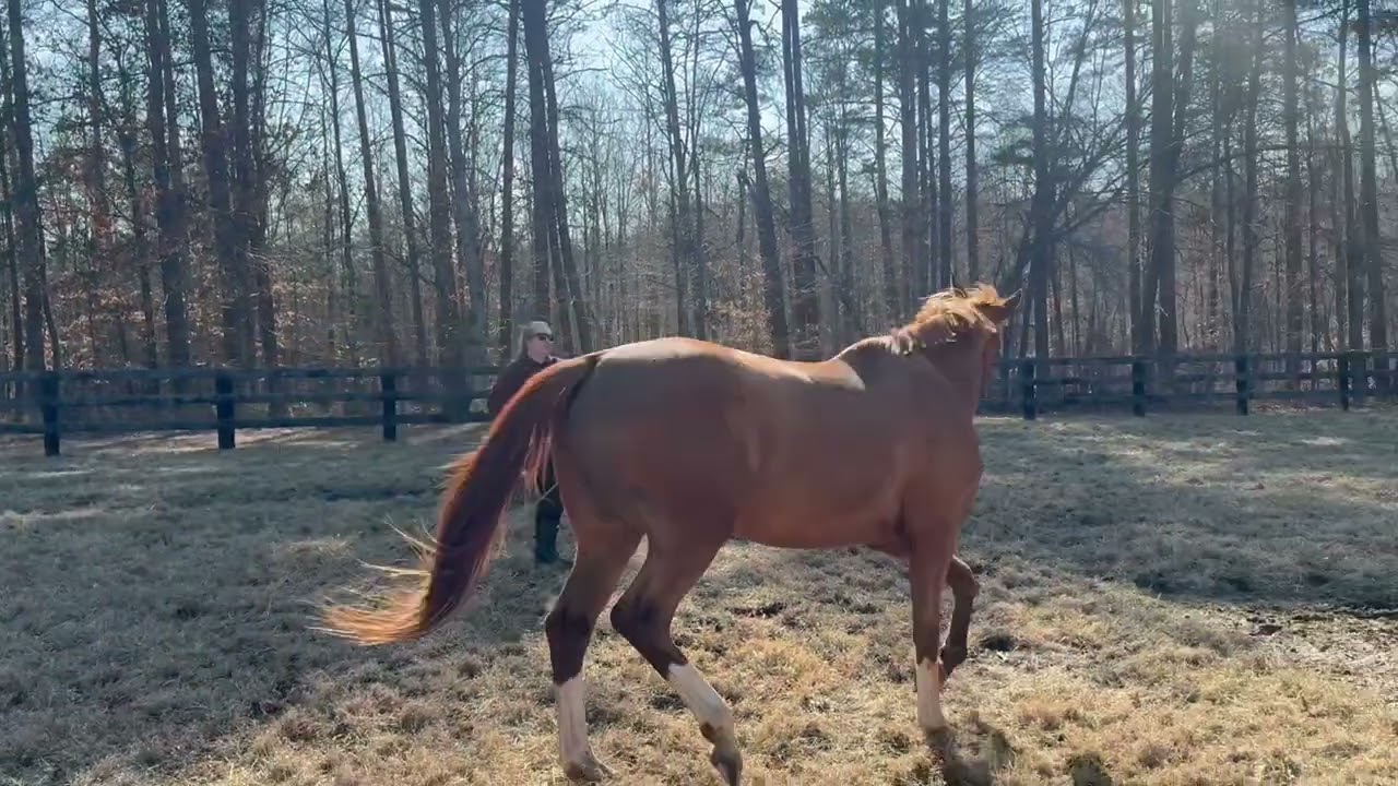 Binn xc on the line @ GDE 3/7/26