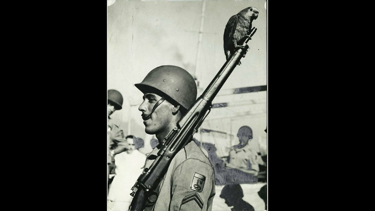Armas usadas pela Infantaria Brasileira na Segunda Guerra Mundial (remake)