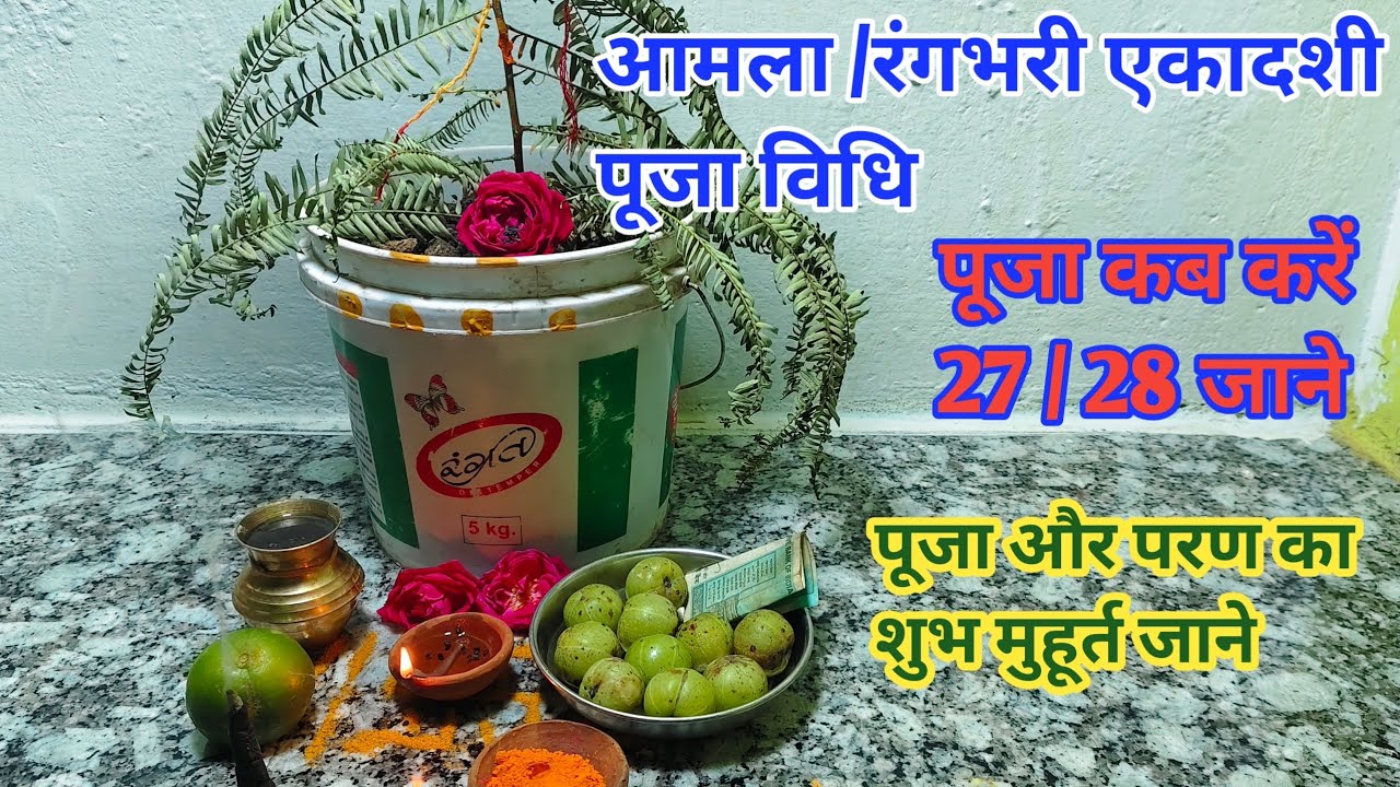 अमला / रंगभरी एकादशी पूजा विधि # rangbhari ekadashi Puja vidhi 🙏🙏