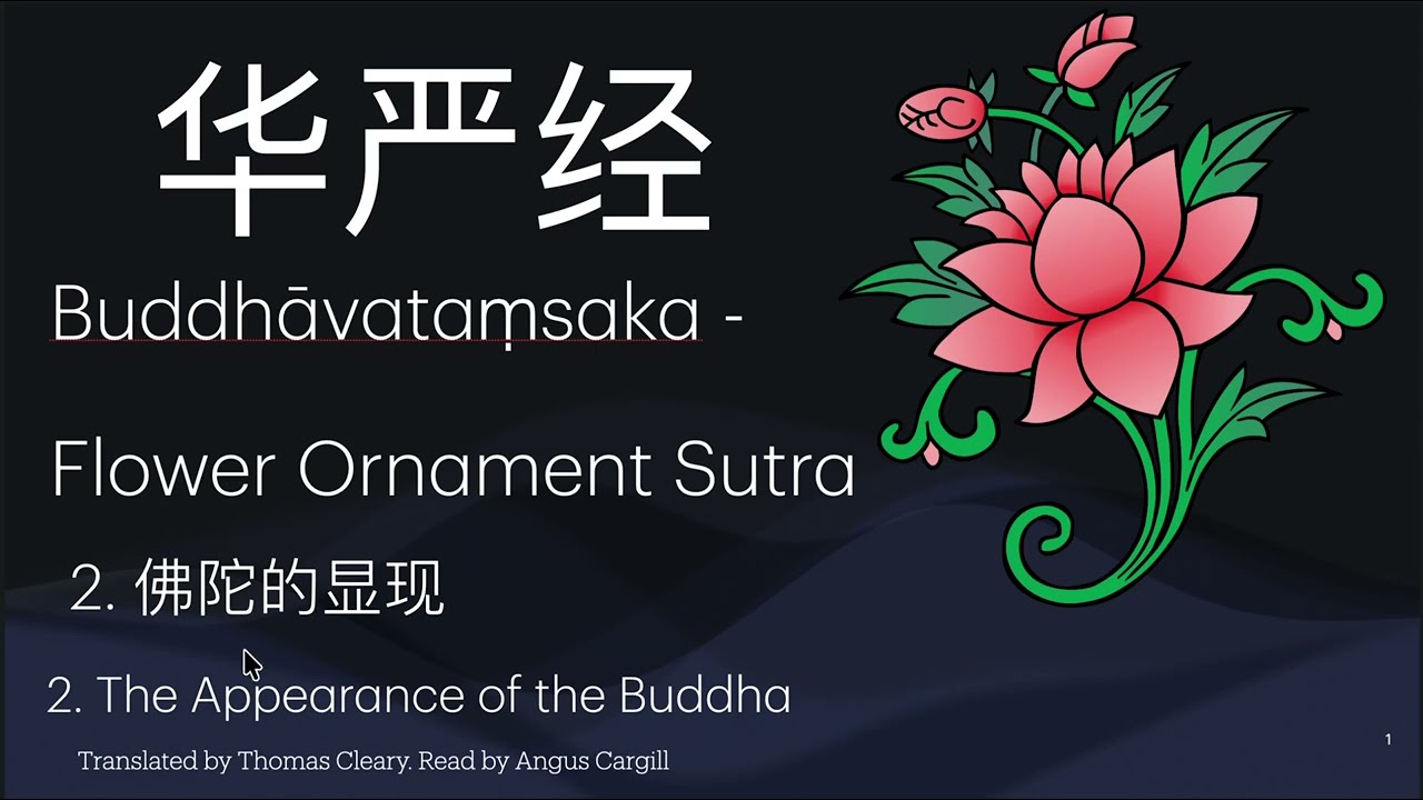 華嚴經 Buddhāvataṃsaka Sūtra མདོ་ཕལ་པོ་ཆེ།  C2 佛陀的教诲超越了思维的范畴 Buddha's teachings transcend thought.