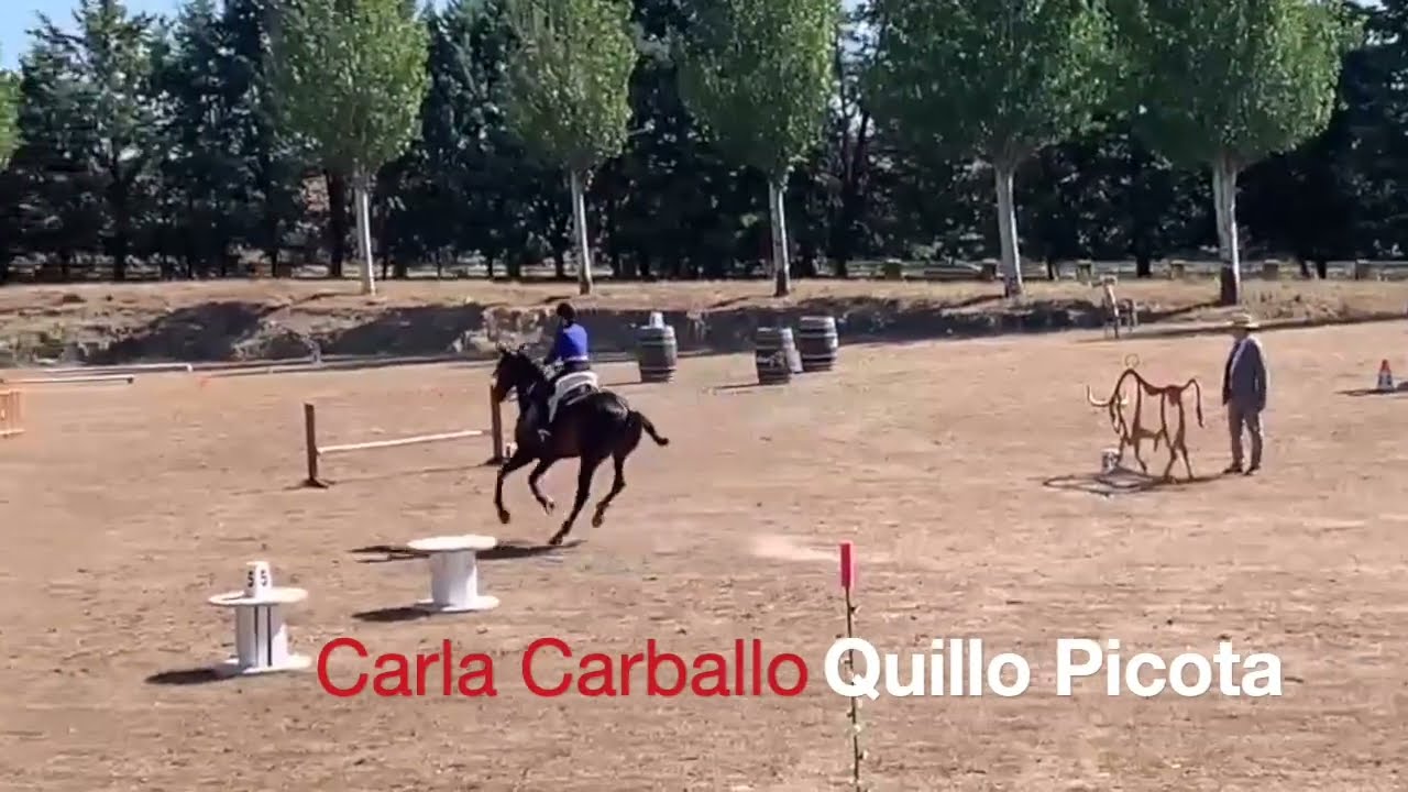 Equitación  de Trabajo - Carla Carballo, primer puesto prueba de velocidad CNET Fuenteguinaldo 2023