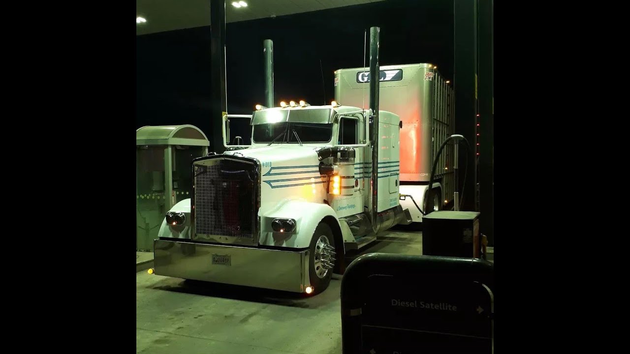 Rocky Mountain Bull hauler Running Hard