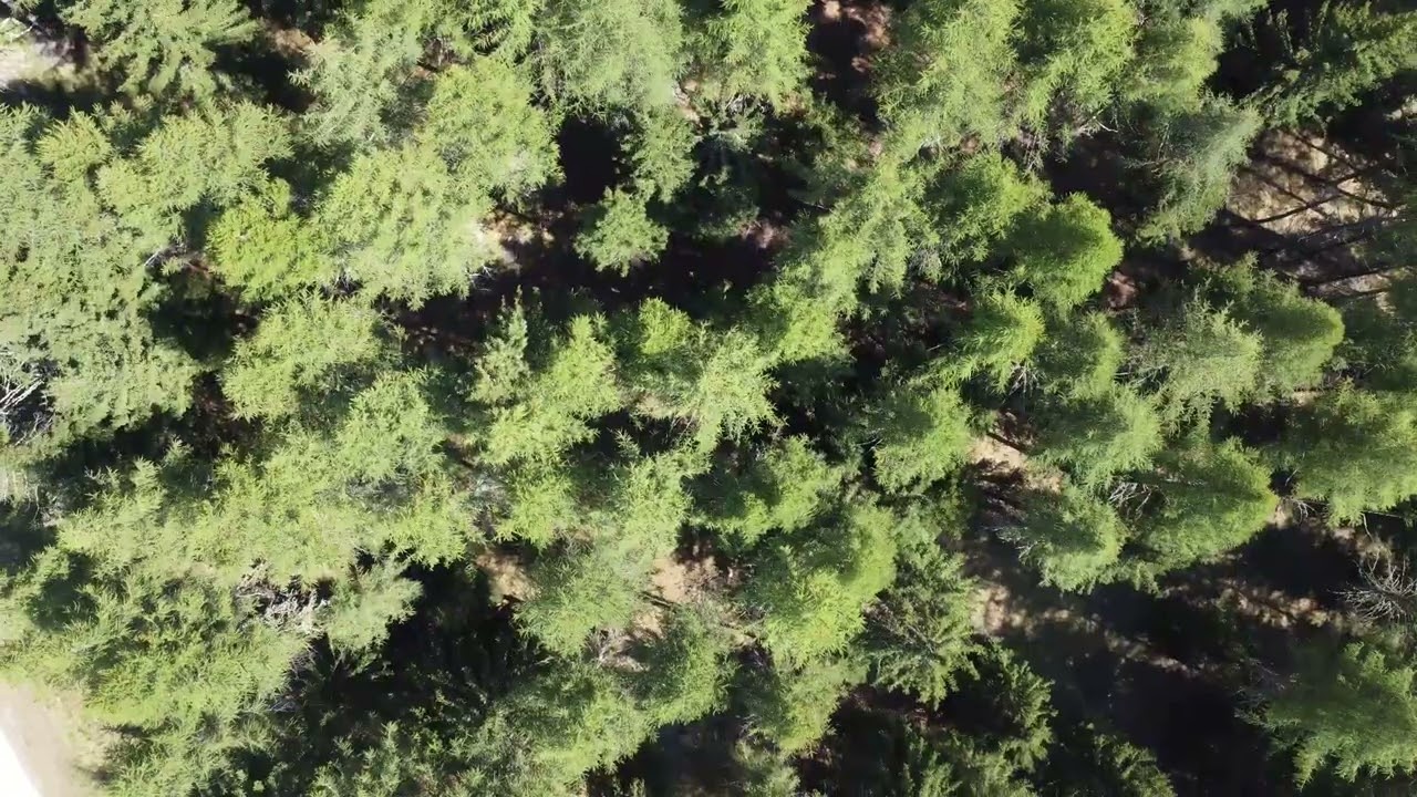 Estoul, Le Otto Montagne e Paolo Cognetti.