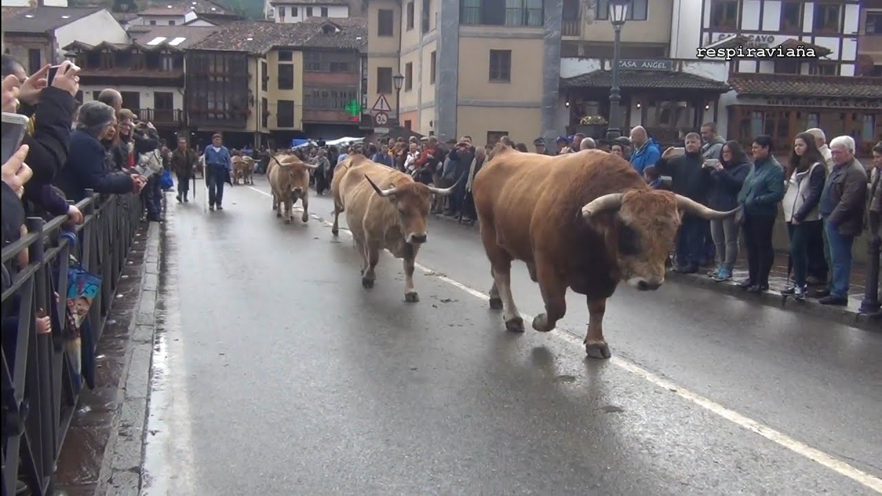 Feria de Potes 2 11 2018  Todos los Santos