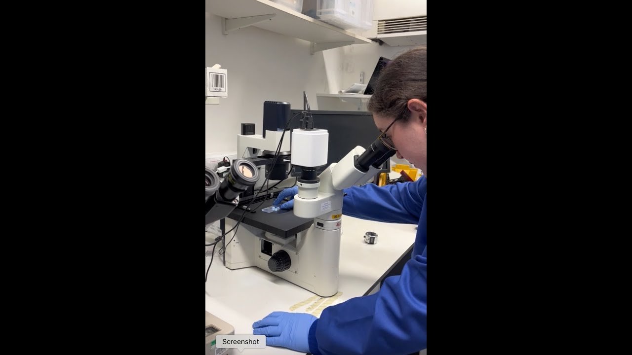 Research Bloods Film CCAA UCL