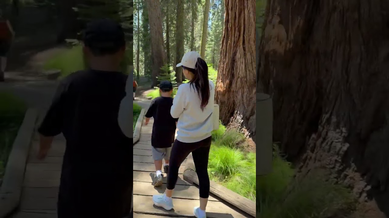 Sequoia national Park
