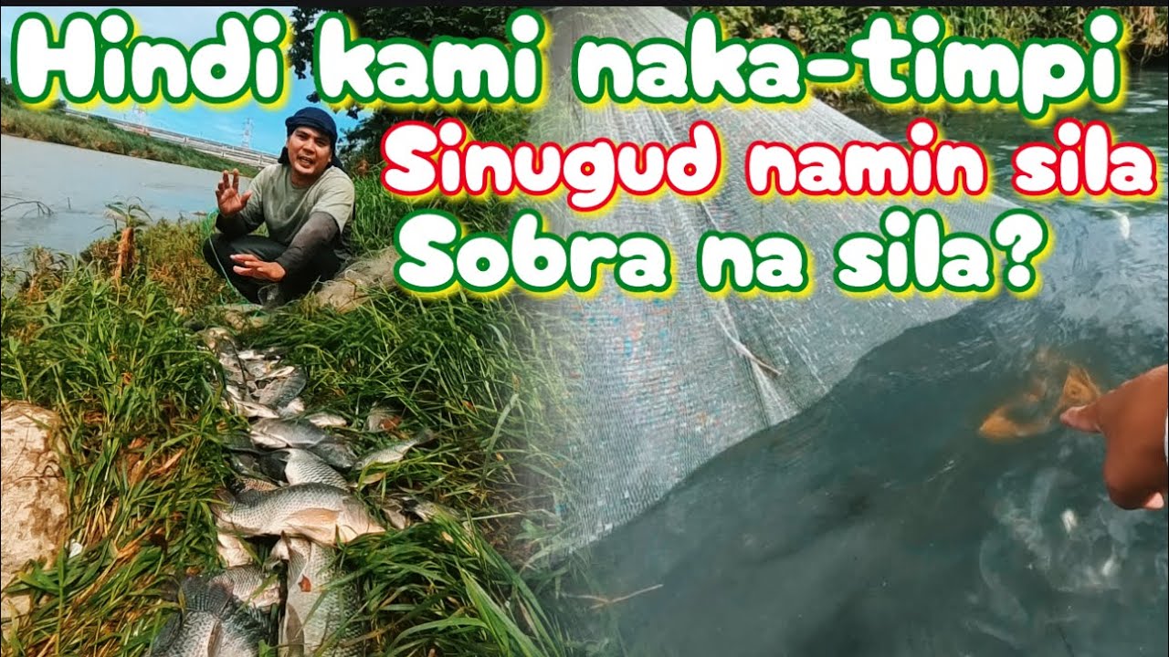 May mala-ginto na sumabit sa aming lambat
