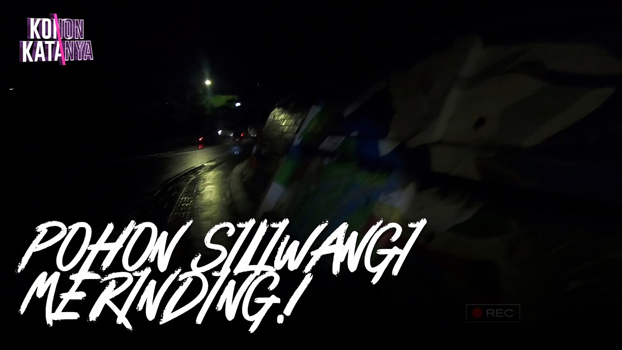 Sensasi Merinding Pohon Siliwangi Bandung | Konon Katanya