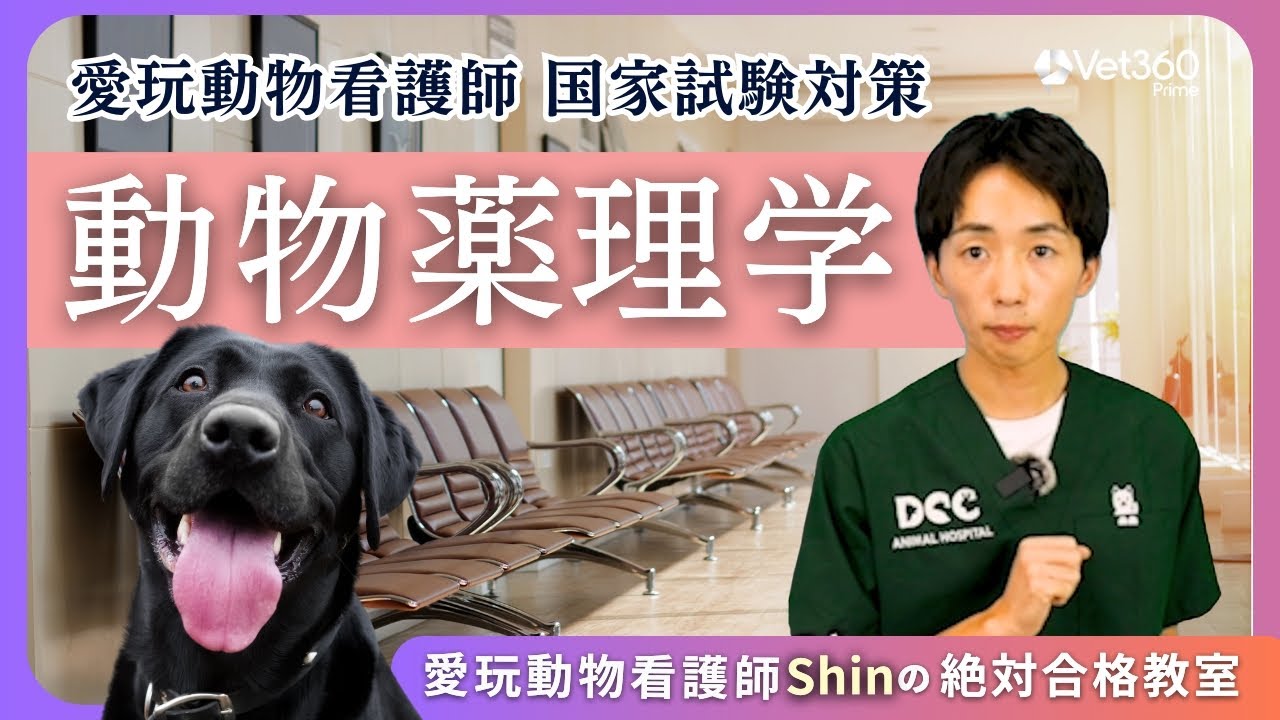 【#8 動物薬理学】愛玩動物看護師国家試験：愛玩動物看護師Shinの絶対合格教室