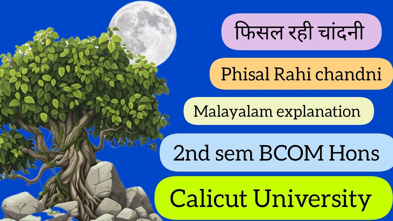 Phisal Rahi chandni|Malayalam explanation|2nd sem BCOM Hons FYUGP Calicut University|EDUSTART HINDI