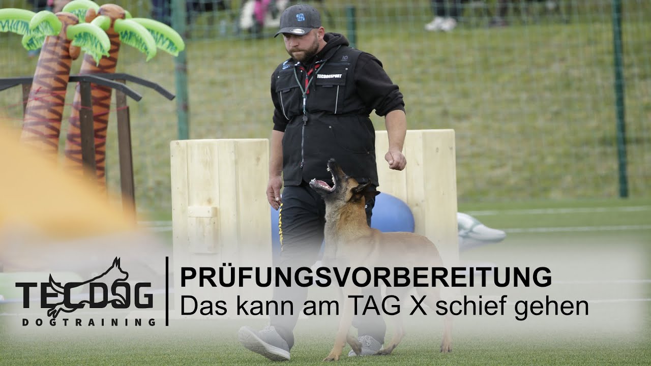 Prüfungsvorbereitung