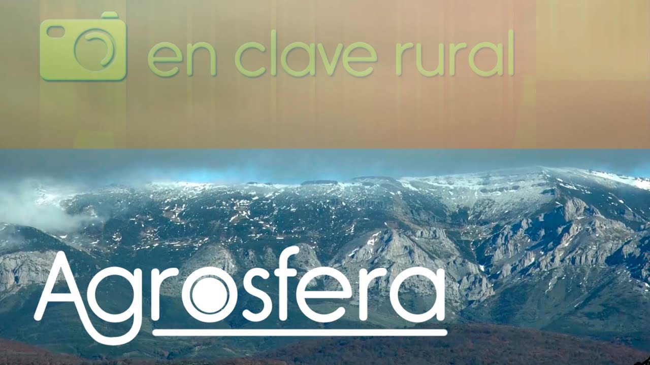 San Salvador de Cantamuda, Palencia - Agrosfera | La2
