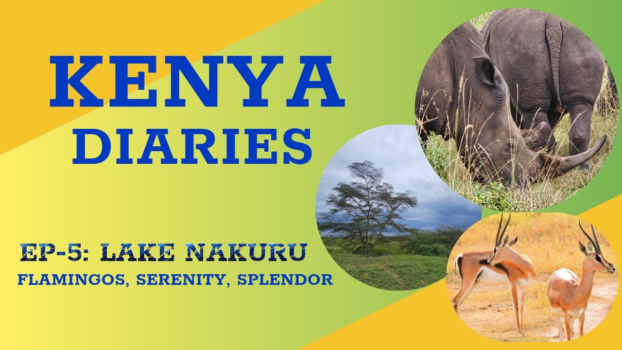 Exploring LAKE NAKURU national park | LAKE NAKURU SAFARI adventure in Great Rift Valley! 🦩(PART -1)