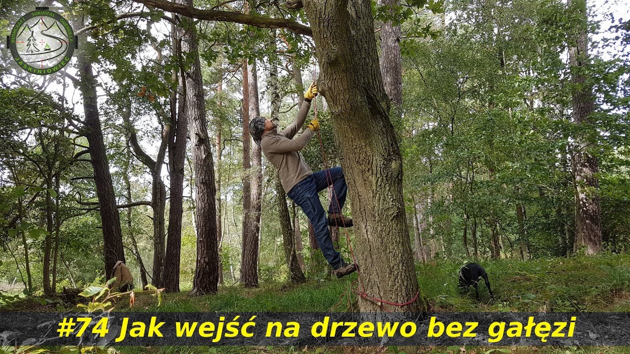 Jaskiniowiec. #74 Jak wejść na drzewo bez gałęzi