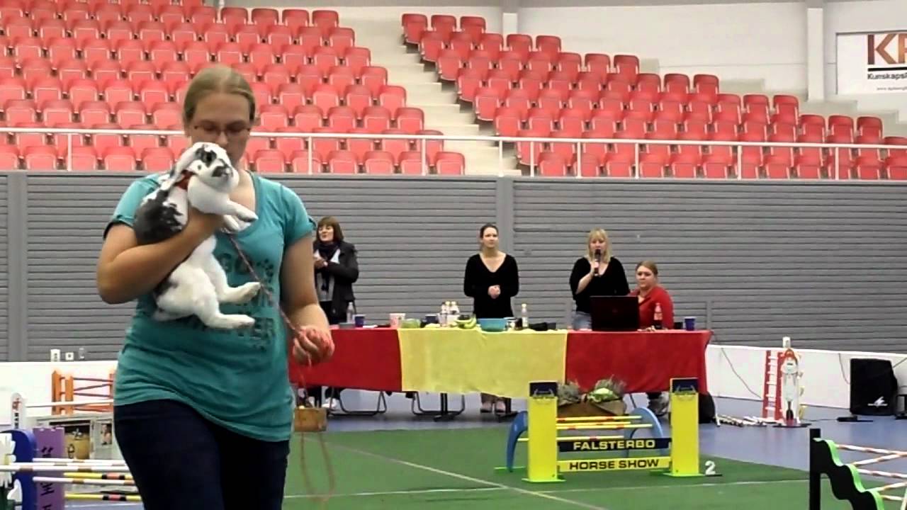 SM Kaninhoppning 2011, segerlopp krokig bana