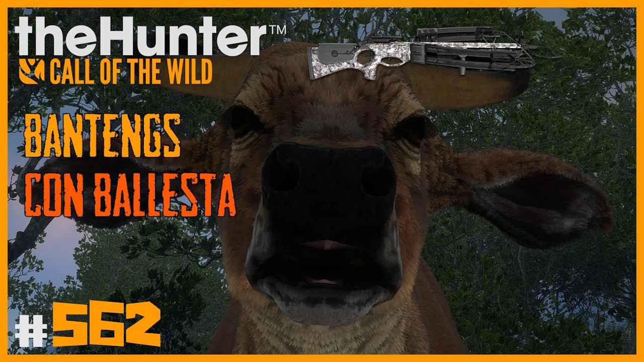 BALLESTA VS BANTENG - EMERALD COAST | 🦌theHunter: CotW #562