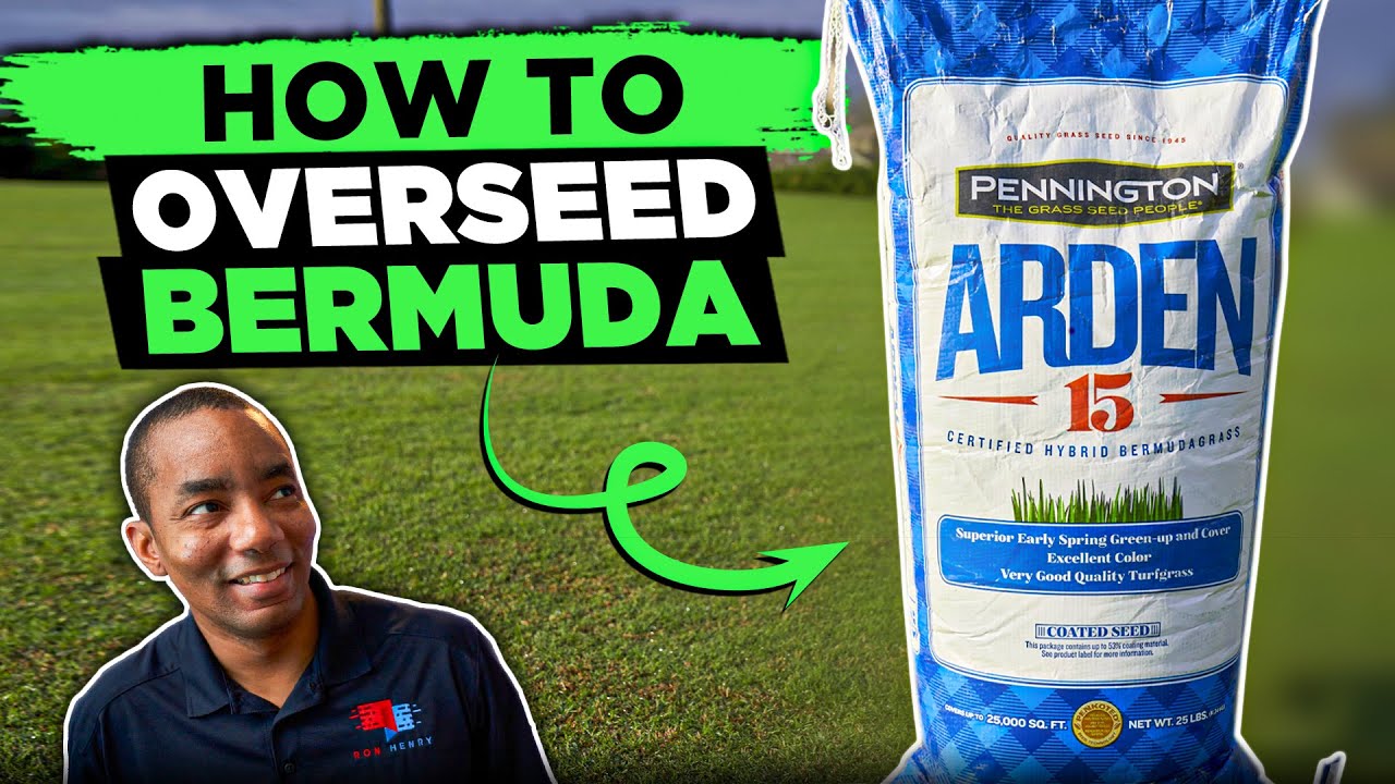 How to Overseed a Lawn - Overseeding Lawns in Spring