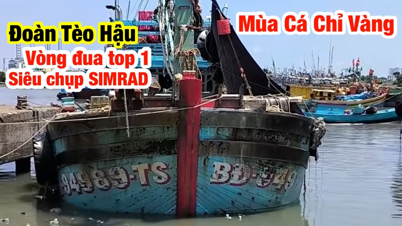 Đoàn Tèo Hậu Vĩnh Lợi Tại Vòng Đua Top Cá Chỉ Vàng-Tàu Cá Bình Định