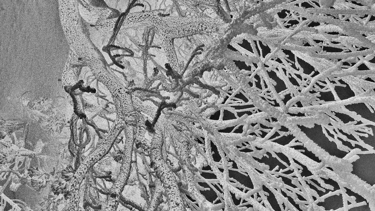 Focal Point - Manufactured Superstition