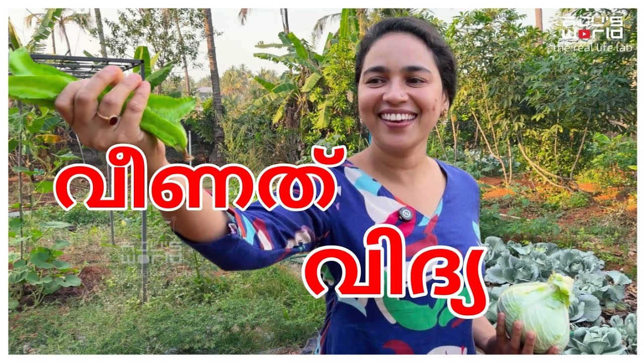 വീണത് വിദ്യ... 😂 /Family vlog /Agriculture /Vegetable harvest /Funny /entertainment 