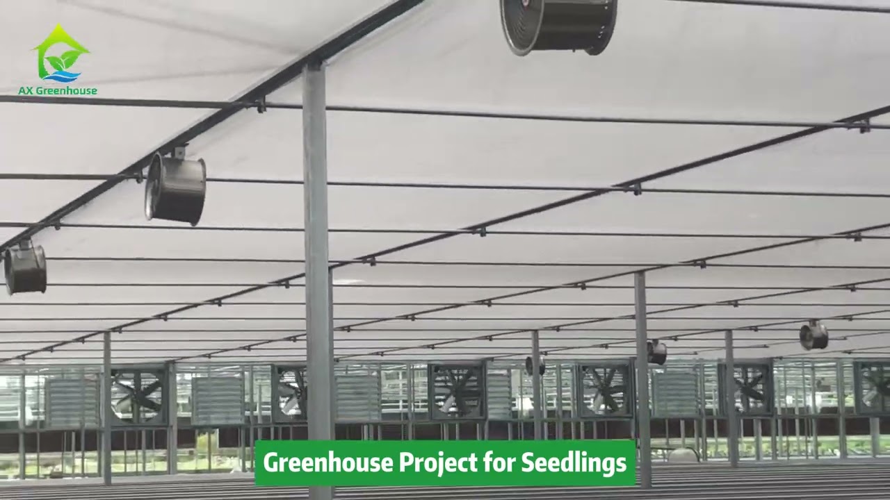 Poly Tunnel Greenhouse Project for Seedling
