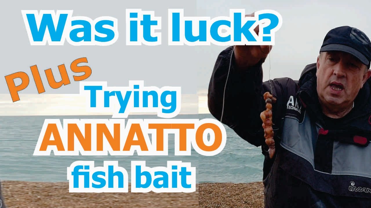A frantic sea fishing session 2024 but why, was it luck?