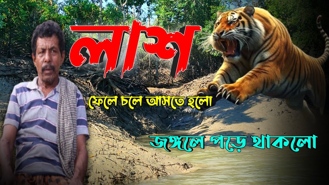 লাশটাকে আনতেই পারলাম না। জঙ্গলে ফেলে আসতে হলো 😭 Sundarbans