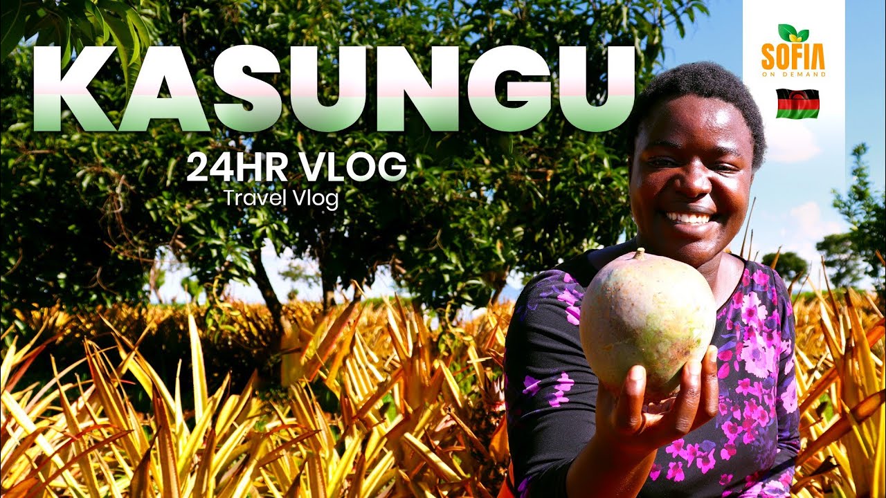 Kasungu, Malawi's Battle Against Fall Armyworms #namibianyoutuber
