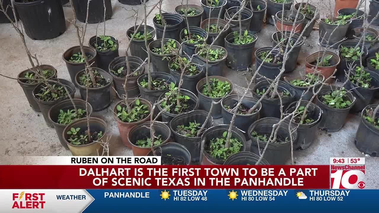 Dalhart deemed first town to be a part of Scenic Texas in the Panhandle
