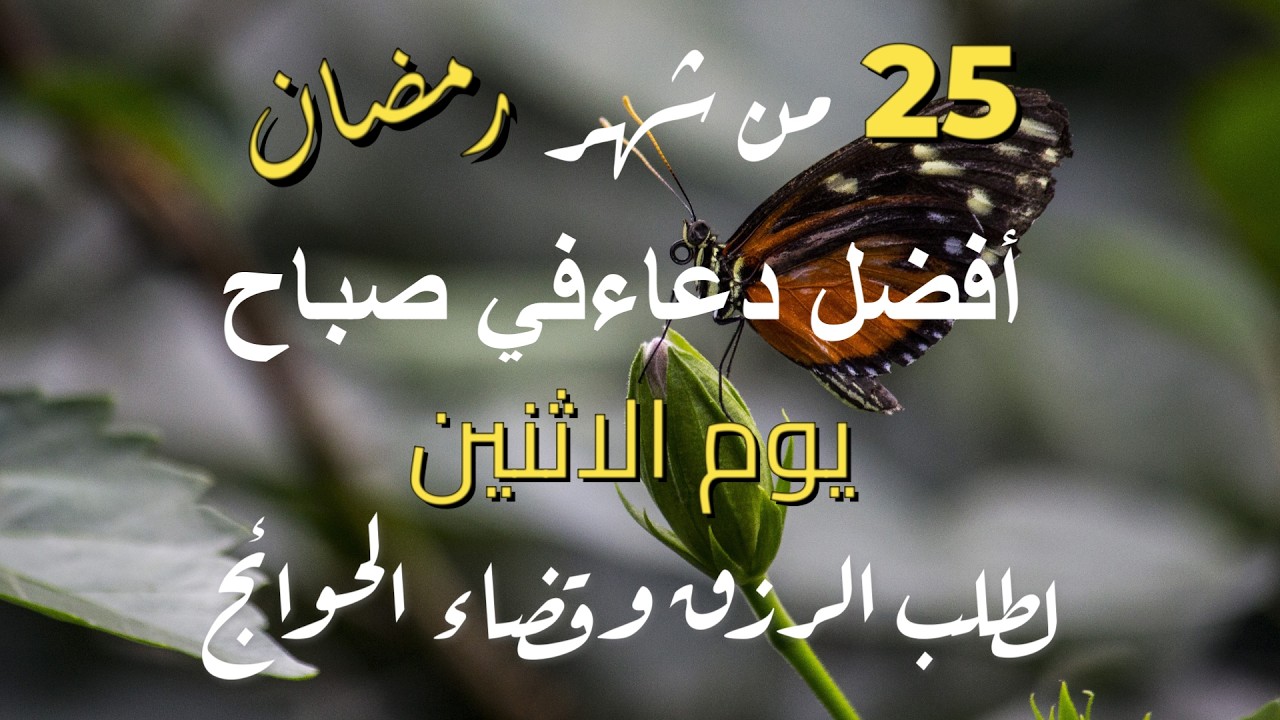 أجمل دعاء في الليالي الوترية 🌙 دعاء مؤثر جدًا لراحة القلب، سكينة النفس، وقضاء الحاجات المستجابة