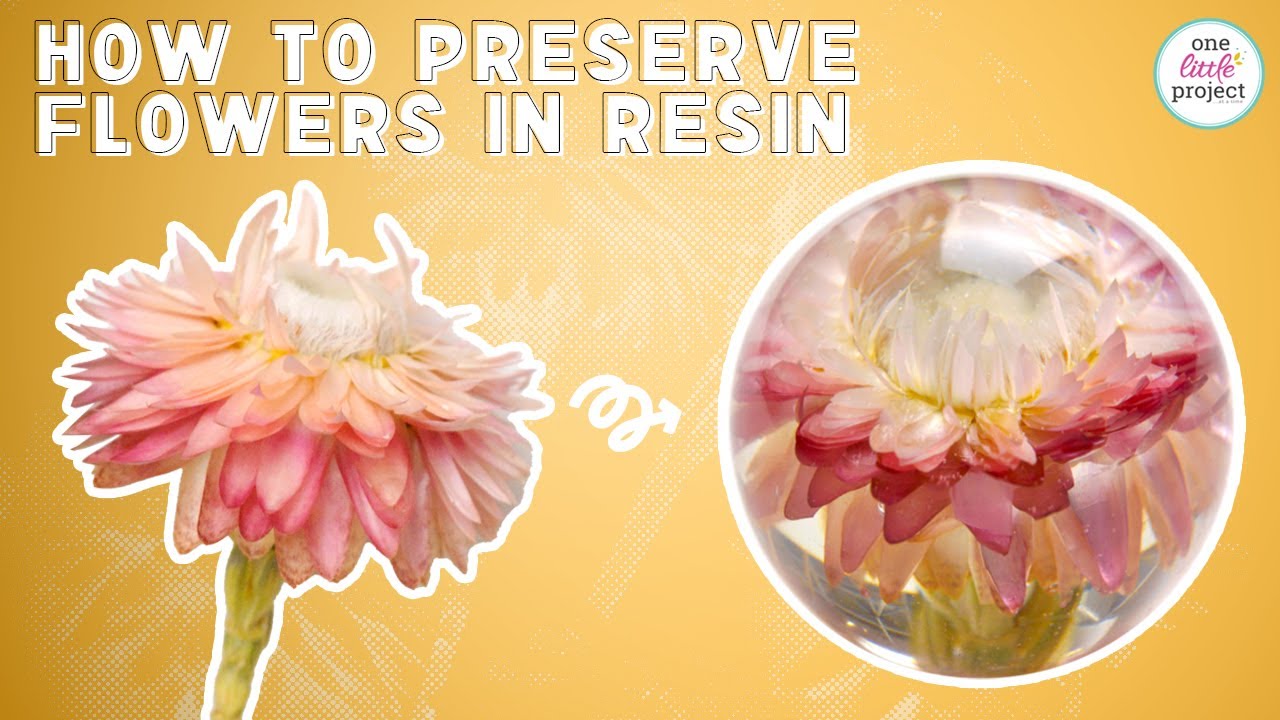 How to Preserve Flowers in Resin Paperweight