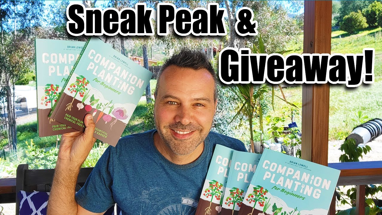 A Look INSIDE  My New Book & I'm Giving Away 5 Signed Copies of 