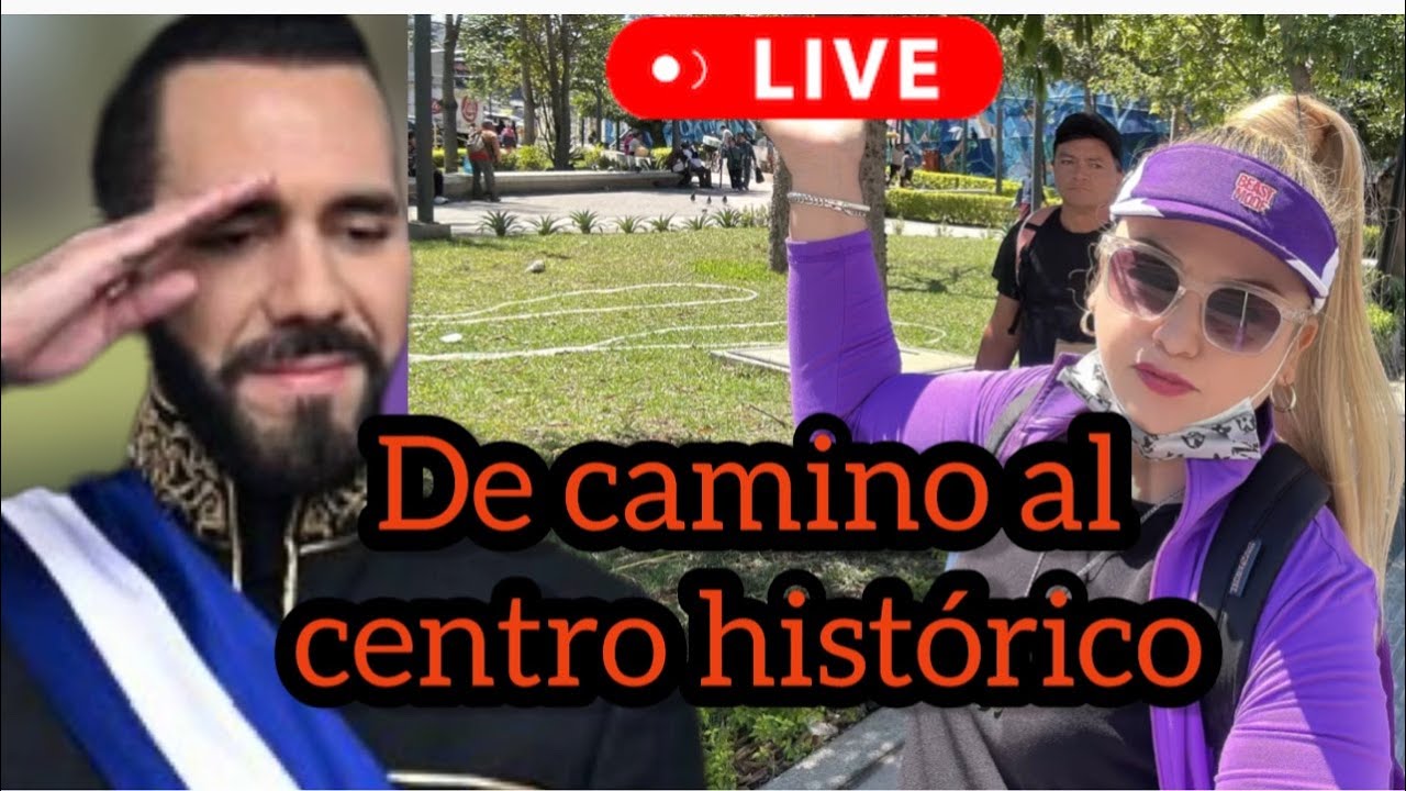 en vivo