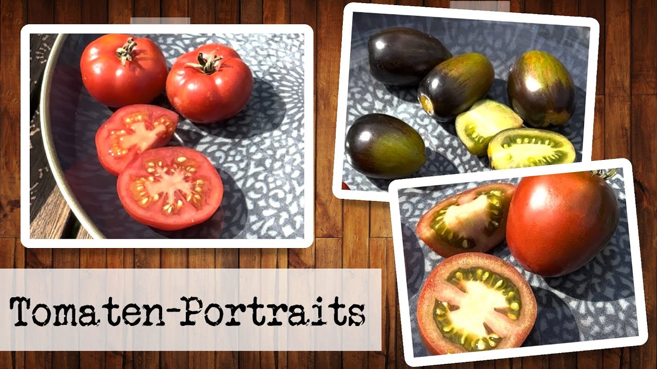 Tomatenportraits: Brad's Atomic Grape, Flonda, Paul Robson
