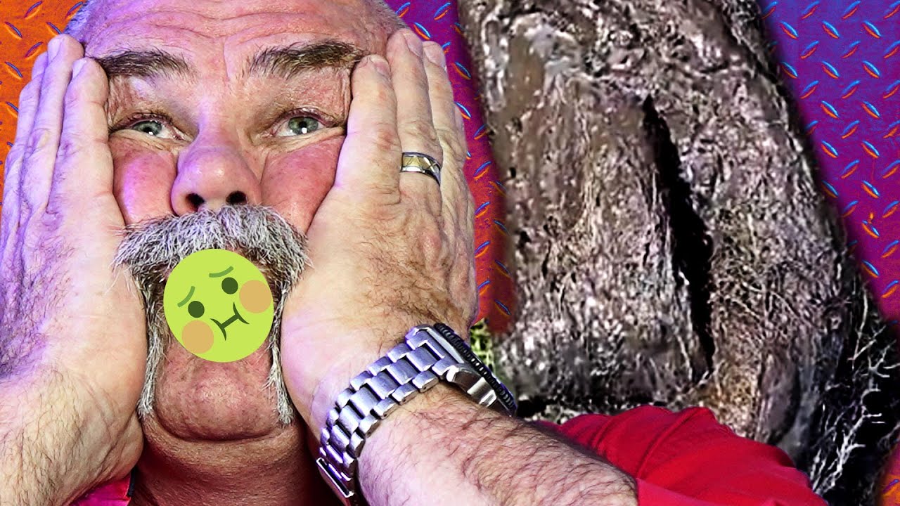 REAL PLUMBER REACTS TO THE BEST AND WORST PLUMBING TIK TOK'S