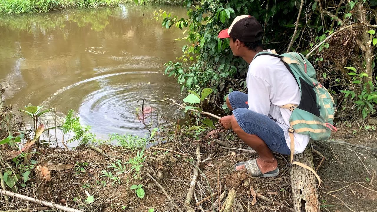 REJEKI NOMPLOK MASBRO.!!! Ikan sebanyak ini tapi nggak ada yang mancing