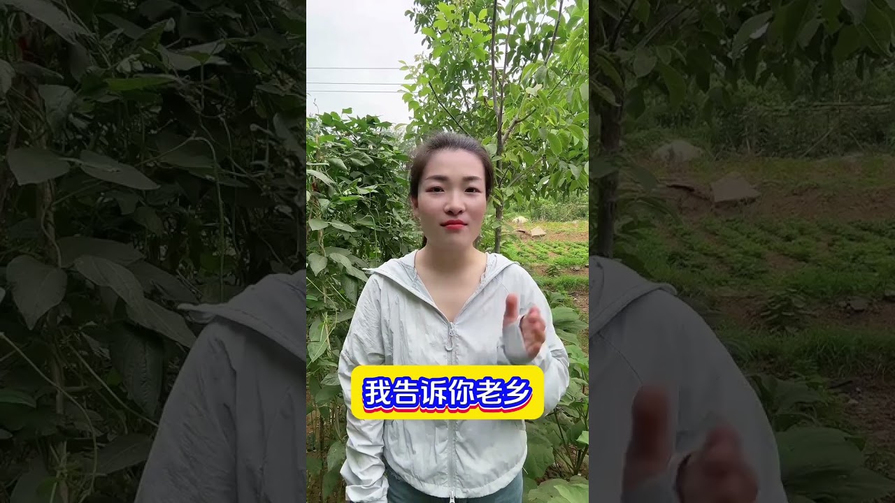 生根配方，让作物快速生根，既省钱又高效