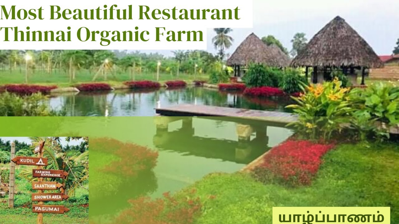 Thinnai Organic Farm Tour | Most Beautiful Restaurant in Jaffna💥 | Jaffna @stunningvlogs  #jaffna