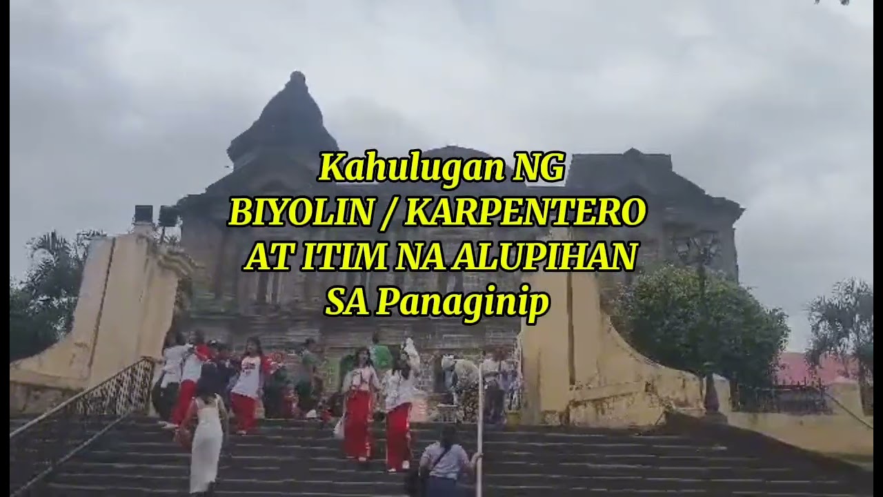 KAHULUGAN NG BIYOLIN/ KARPENTERO AT ITIM NA ALUPIHAN SA PANAGINIP 