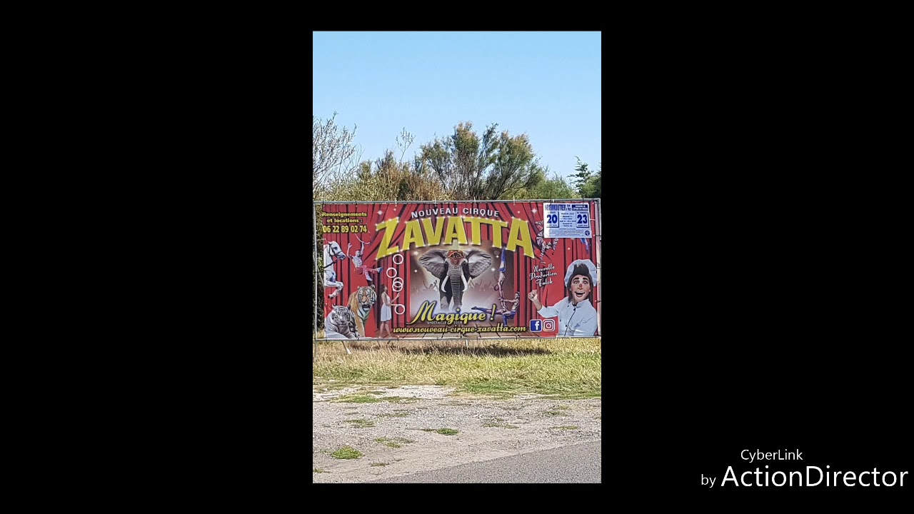 Nouveau cirque zavatta falck 2019