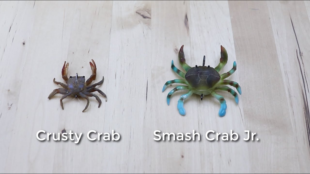 Chasebaits 